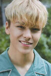 vernon vernon